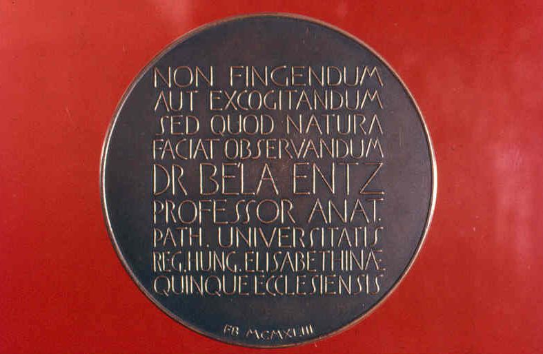 A k�p egy klikkent�ssel nagyobb m�retben megnyithat�.