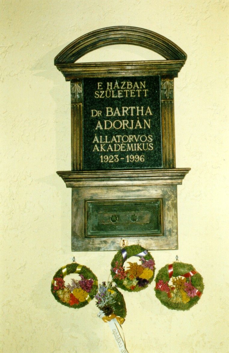 A k�p egy klikkent�ssel nagyobb m�retben megnyithat�.