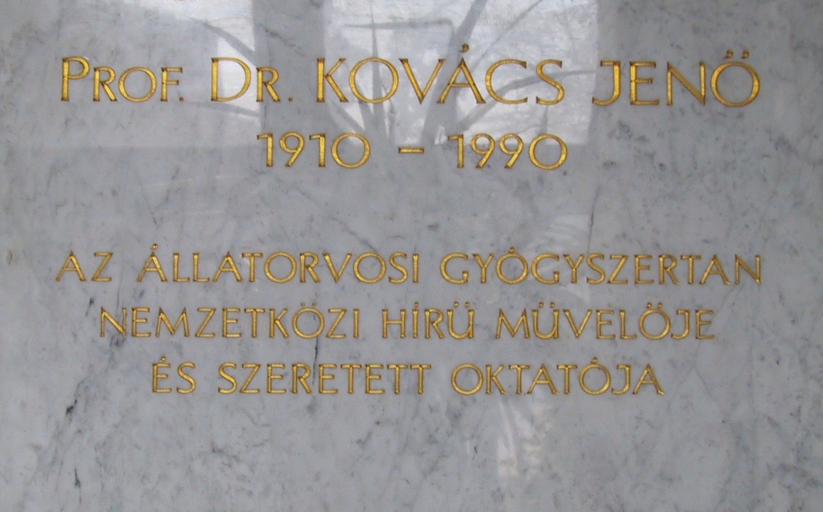 A k�p egy klikkent�ssel nagyobb m�retben megnyithat�.