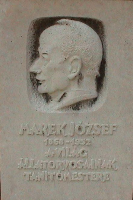 A k�p egy klikkent�ssel nagyobb m�retben megnyithat�.