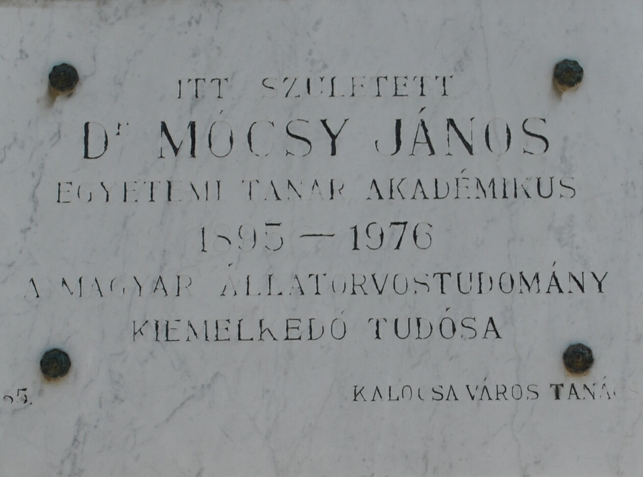 K�p jelenleg nem �ll rendelkez�s�nkre.