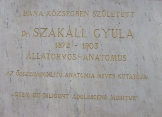 A k�p egy klikkent�ssel nagyobb m�retben megnyithat�.