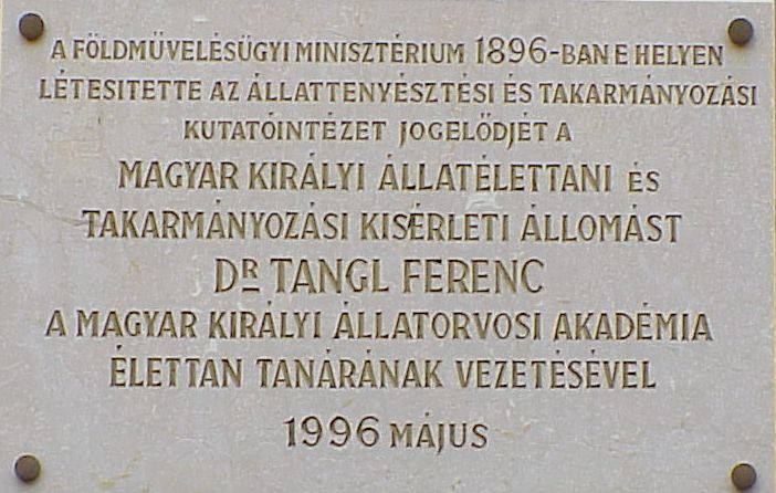 A k�p egy klikkent�ssel nagyobb m�retben megnyithat�.