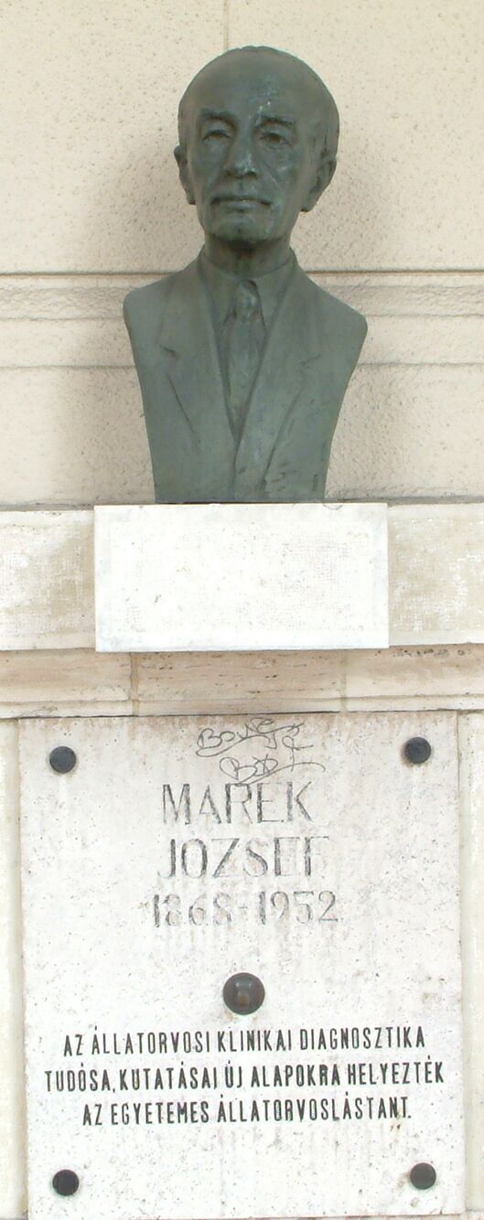 A k�p egy klikkent�ssel nagyobb m�retben megnyithat�.