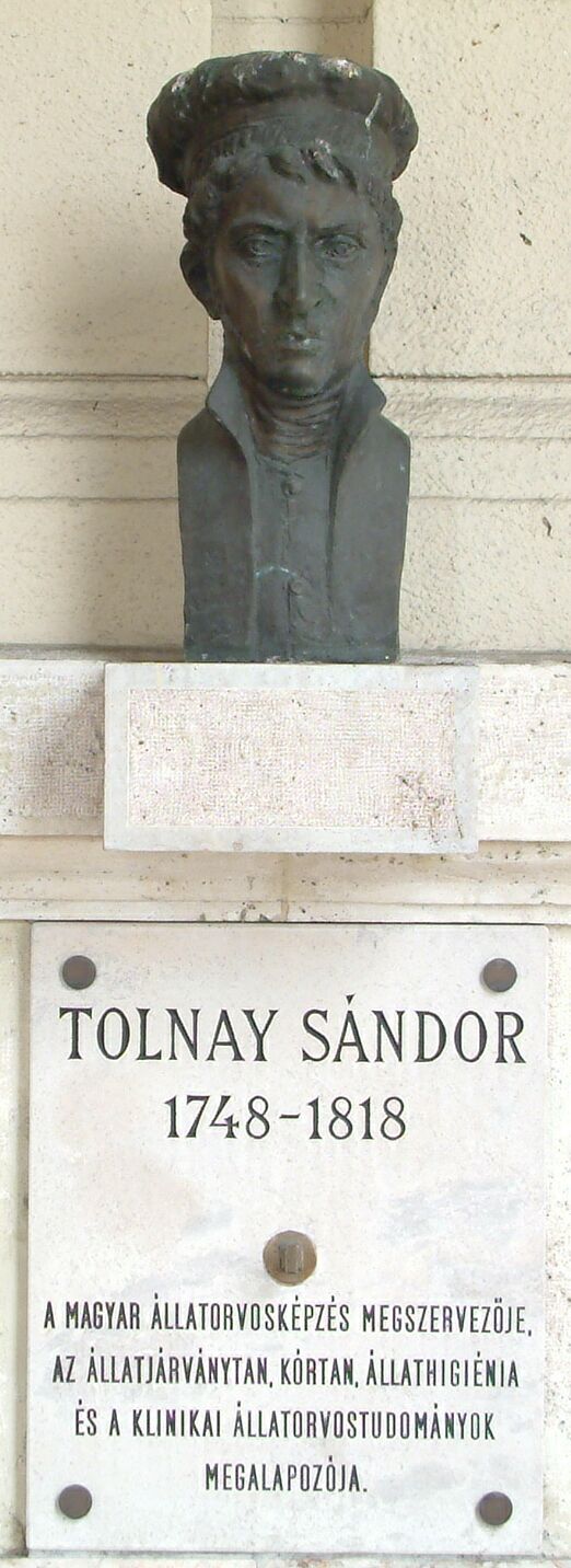 A k�p egy klikkent�ssel nagyobb m�retben megnyithat�.