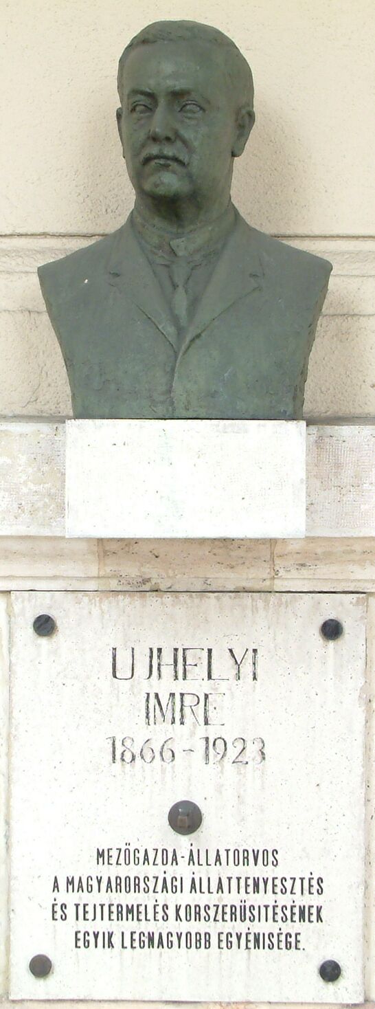 A k�p egy klikkent�ssel nagyobb m�retben megnyithat�.