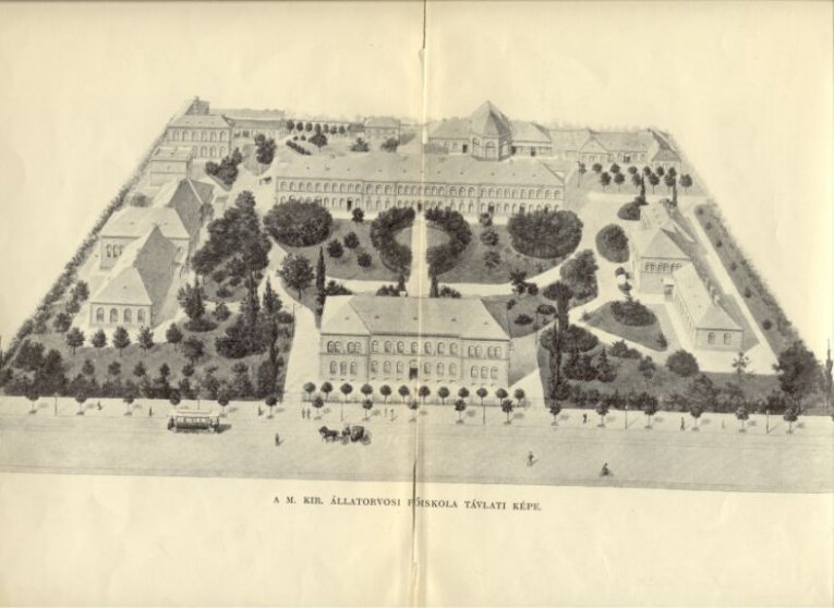 A k�p egy klikkent�ssel nagyobb m�retben megnyithat�.