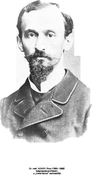 A k�p egy klikkent�ssel nagyobb m�retben megnyithat�.