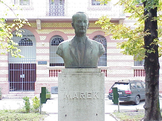 Foto: dr. Ga�l Tibor