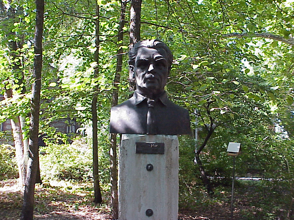 Foto: dr. Ga�l Tibor